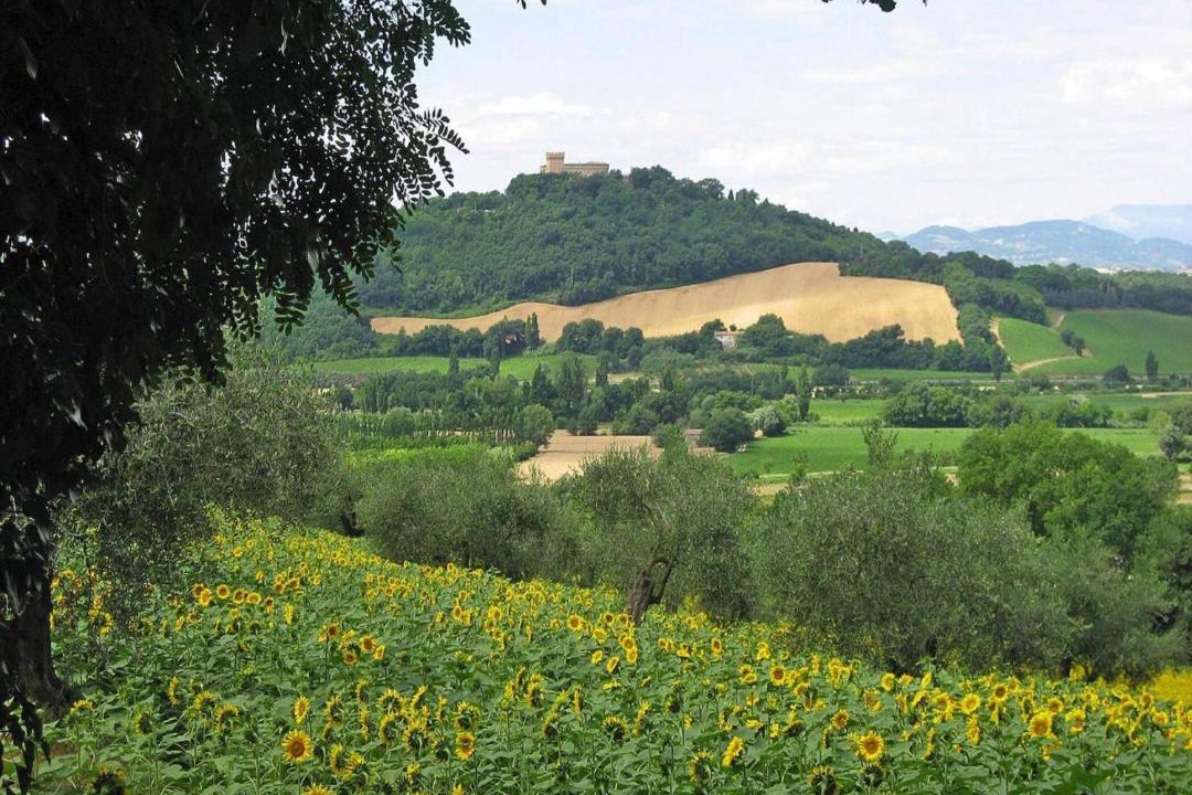 Photo of Others in Granarola