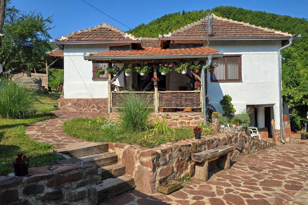 Photo of Others in Stara Planina