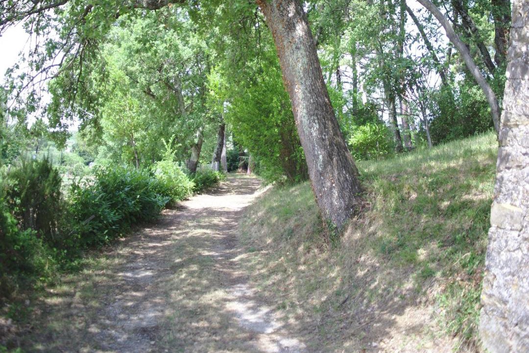Photo of Others in Montefiridolfi