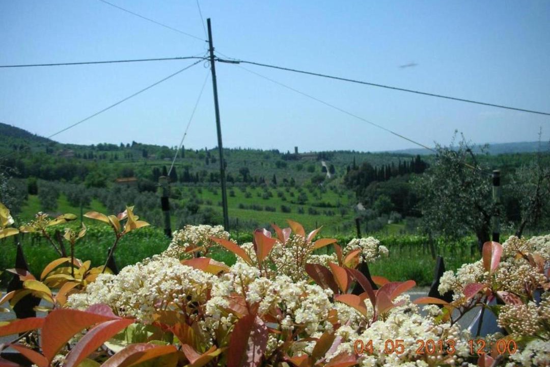 Photo of Others in Montefiridolfi