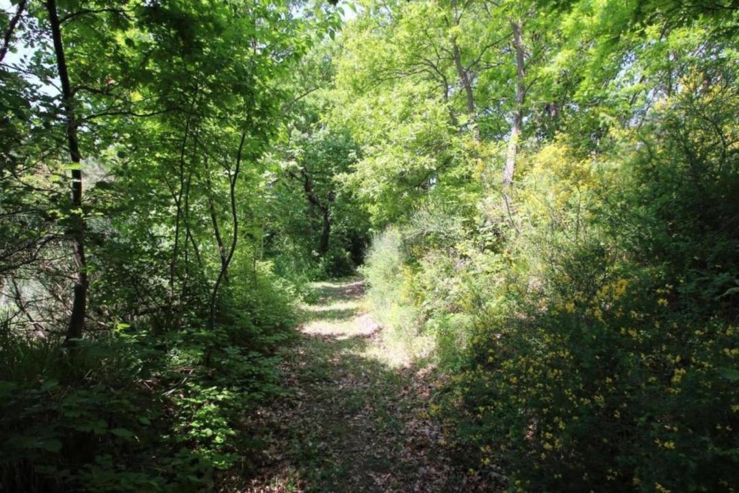 Photo of Outdoor in Apecchio