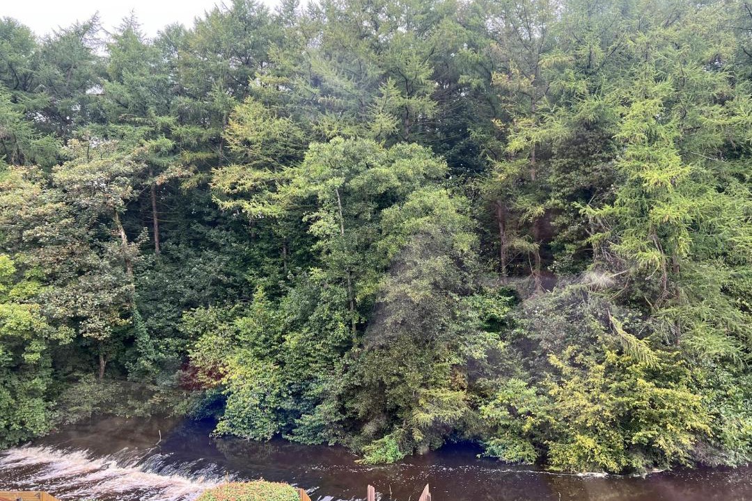 Photo of Others in Boardmills