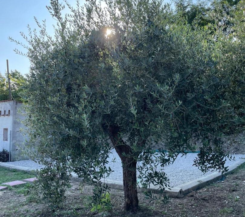 Photo of Others in Castilenti