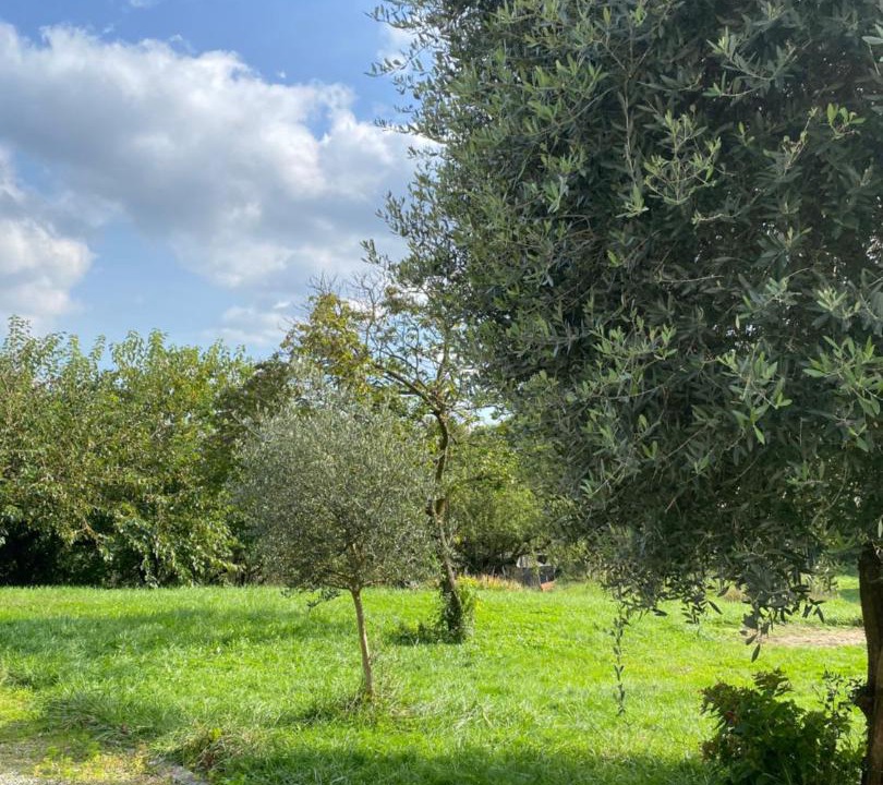 Photo of Others in Tollegno