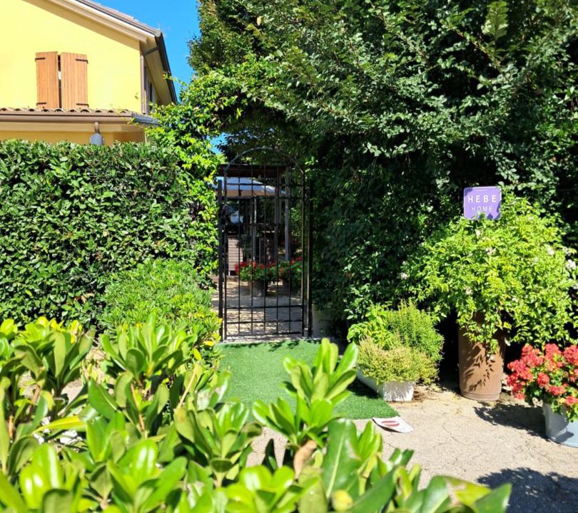 Photo of Others in Misano Adriatico