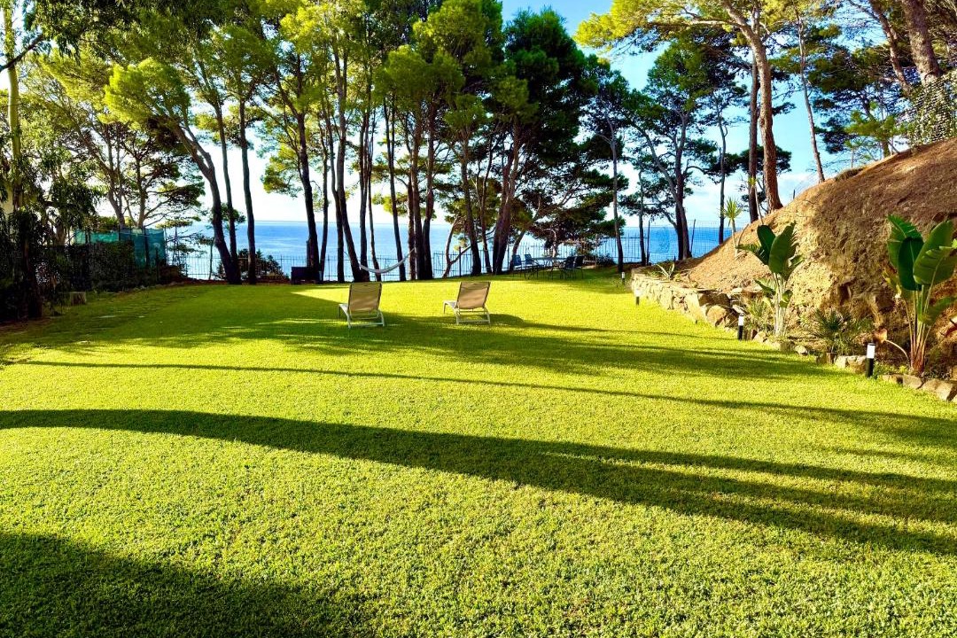 Photo of Others in Montecorice