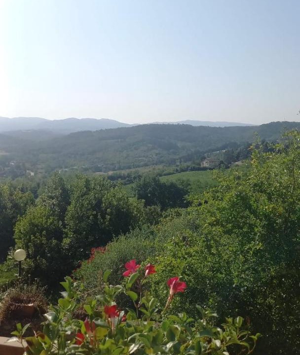 Photo of Others in San Casciano in Val di Pesa