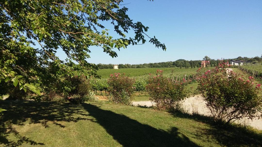 Photo of Outdoor in Montecalvoli