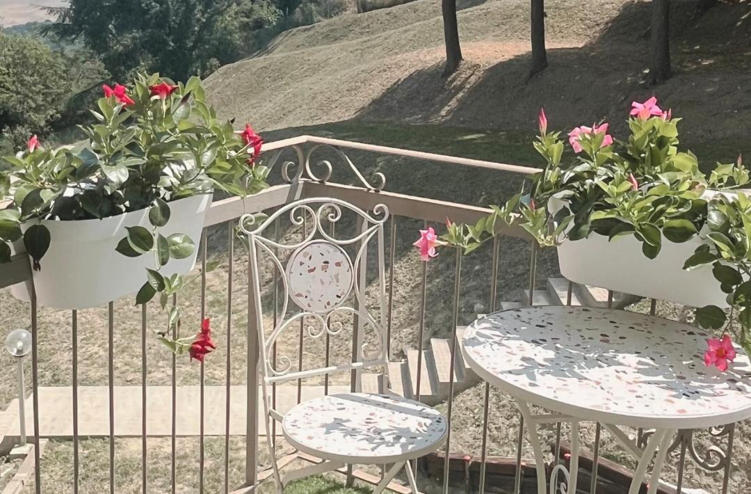 Photo of Others in Monte Grimano Terme