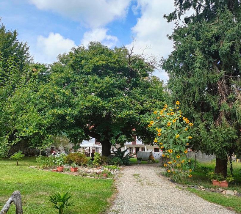 Photo of Outdoor in Pinerolo