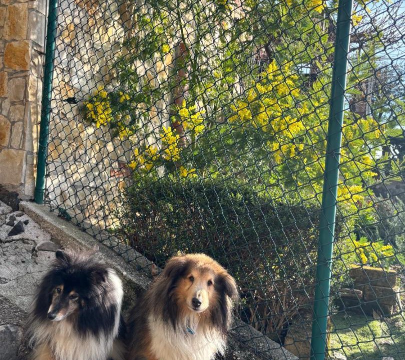 Photo of Others in Trissino