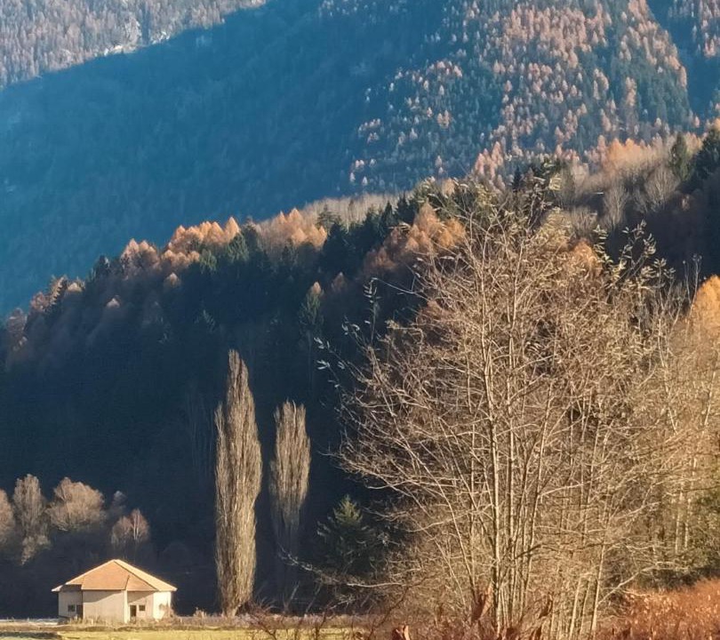 Photo of Others in Marilleva 900