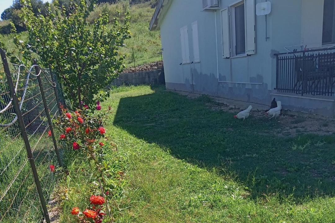 Photo of Others in Calatafimi