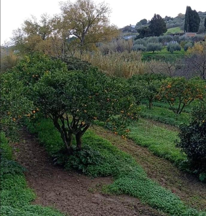 Photo of Others in Calatafimi