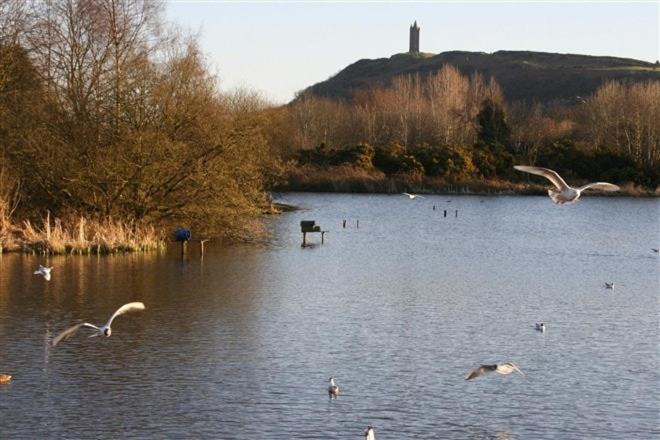 Photo of Others in Newtownards