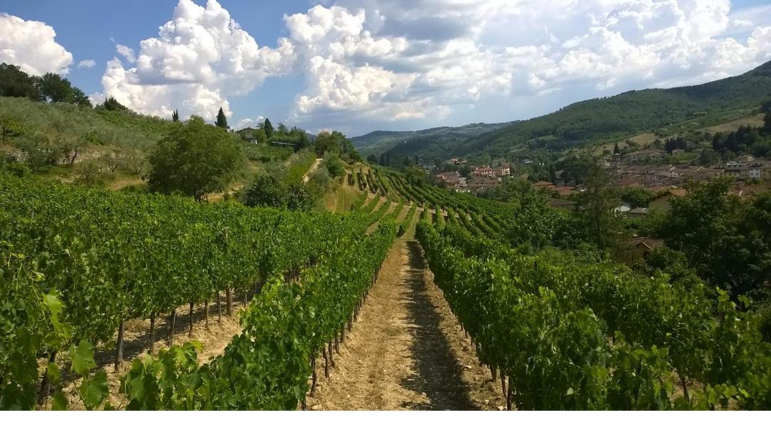 Photo of Others in Greve in Chianti