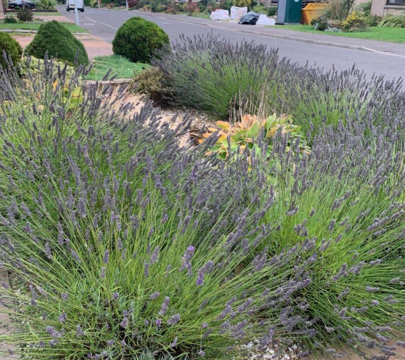 Photo of Outdoor in Crail