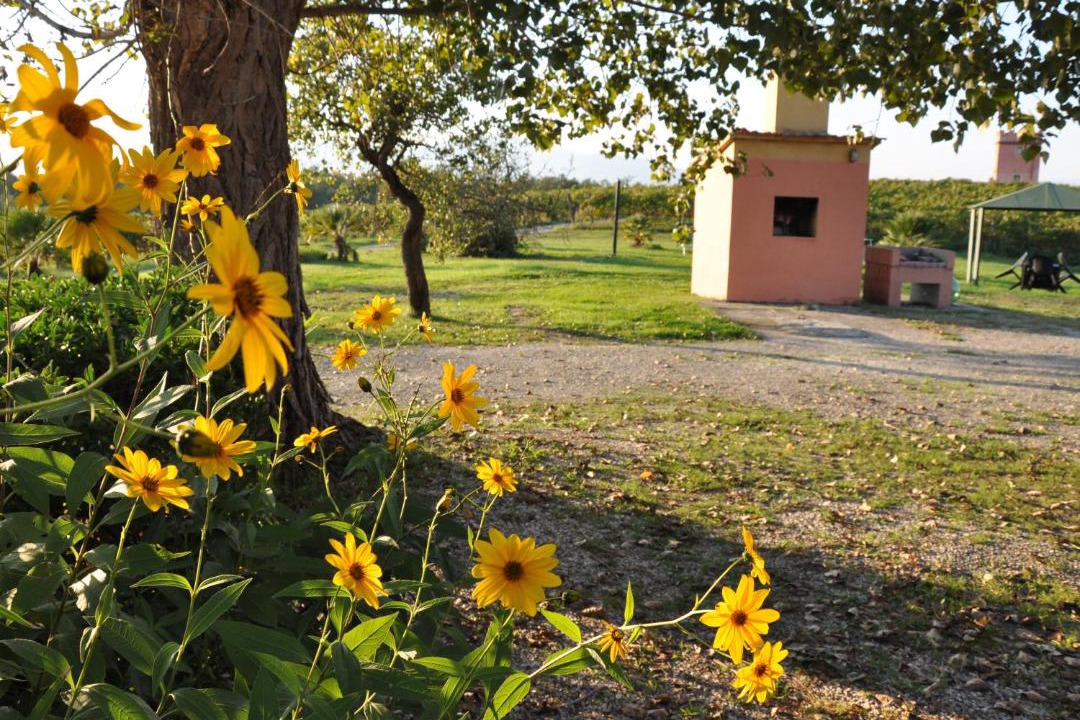 Photo of Buildings in Montecalvoli