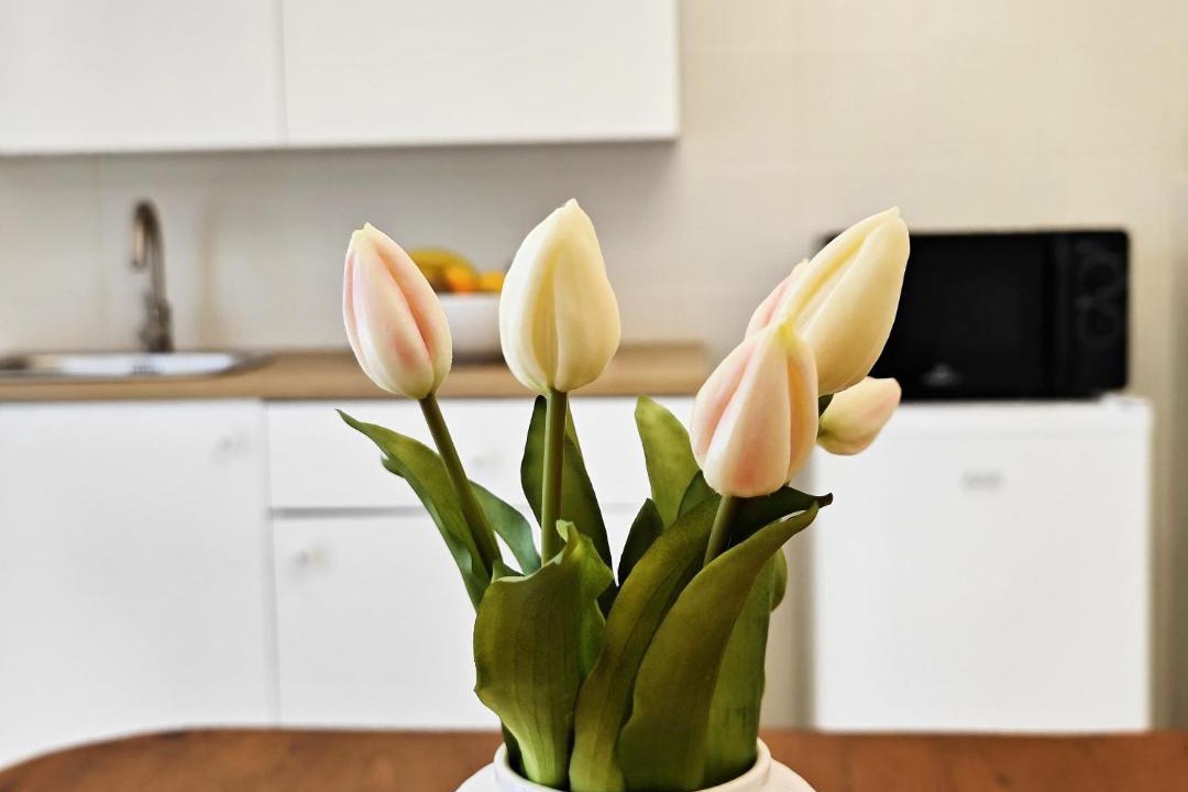 Photo of Kitchen in Berlingo