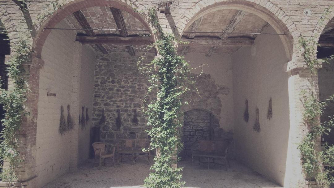 Photo of Others in Novafeltria
