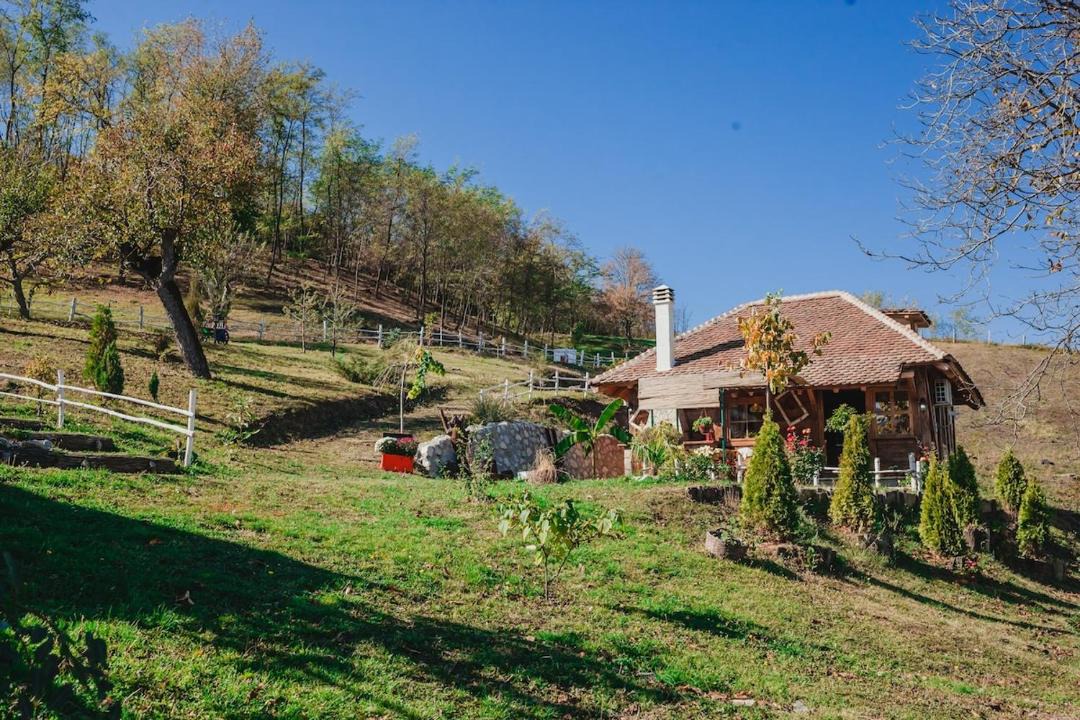 Photo of Others in Mladenovac