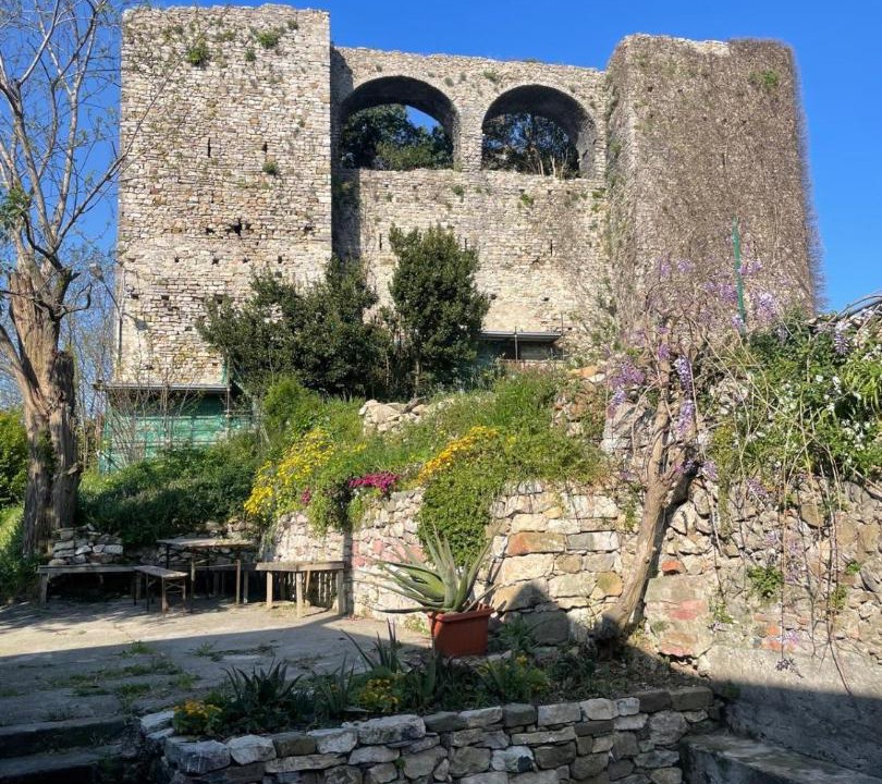 Photo of Others in Trebiano Magra