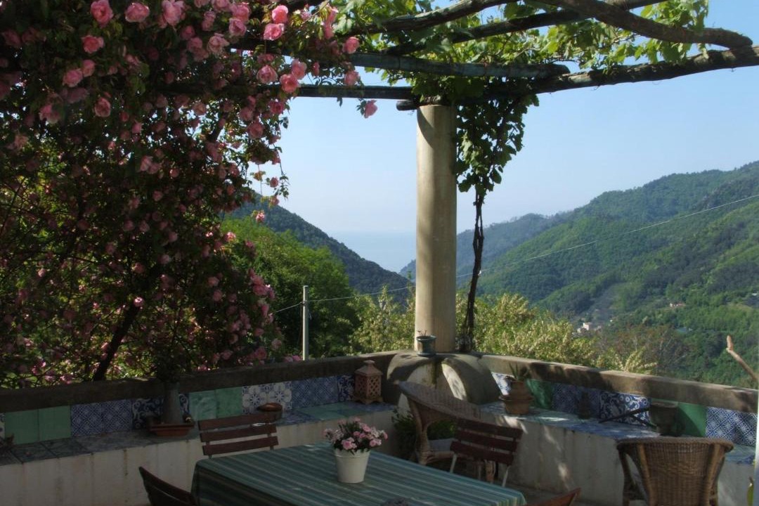 Photo of Patio Balcony in Pucara
