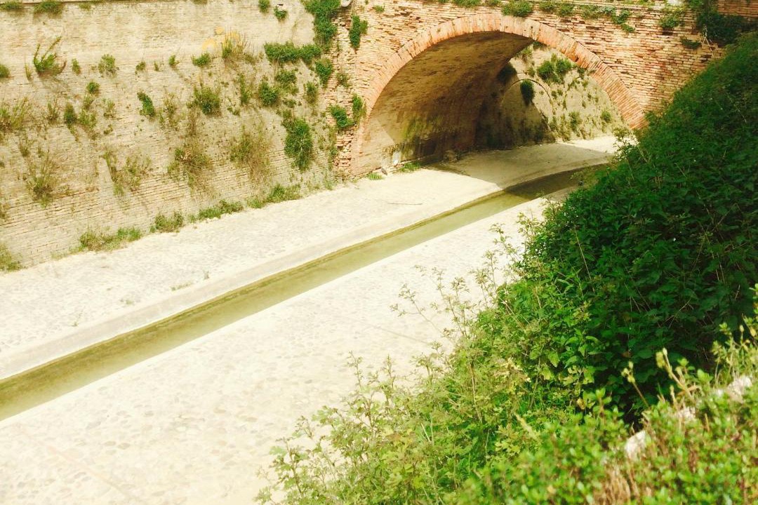 Photo of Others in San Giovanni In Marignano