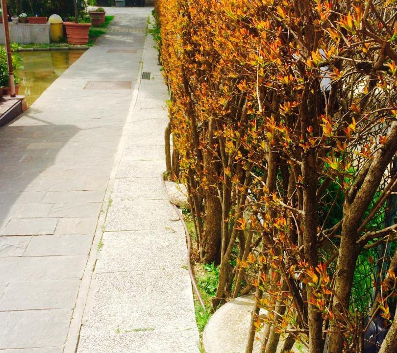 Photo of Outdoor in San Giovanni In Marignano