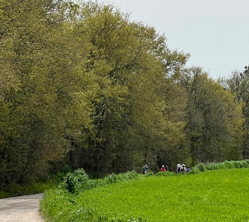 Photo of Others in Capranica