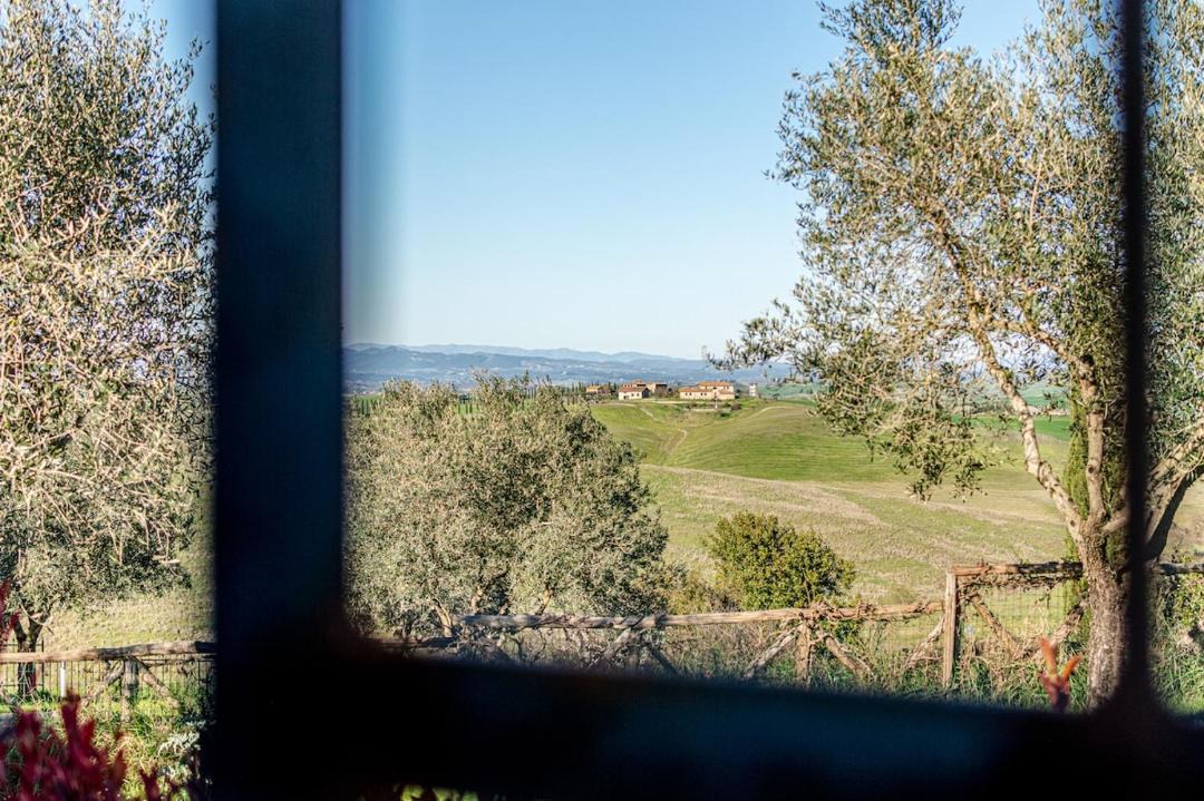 Photo of Others in Monteroni d'Arbia