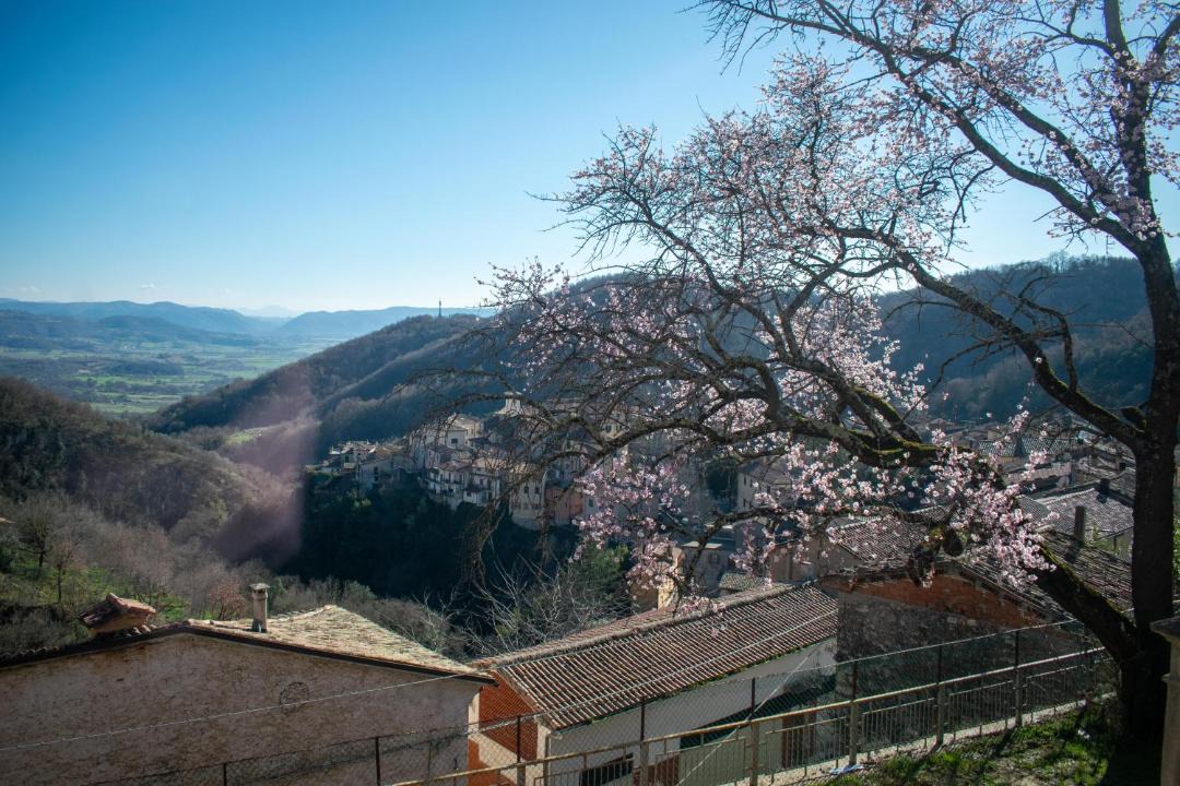 Photo of Others in Rivodutri