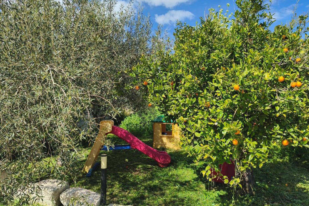 Photo of Outdoor in Casa Papa