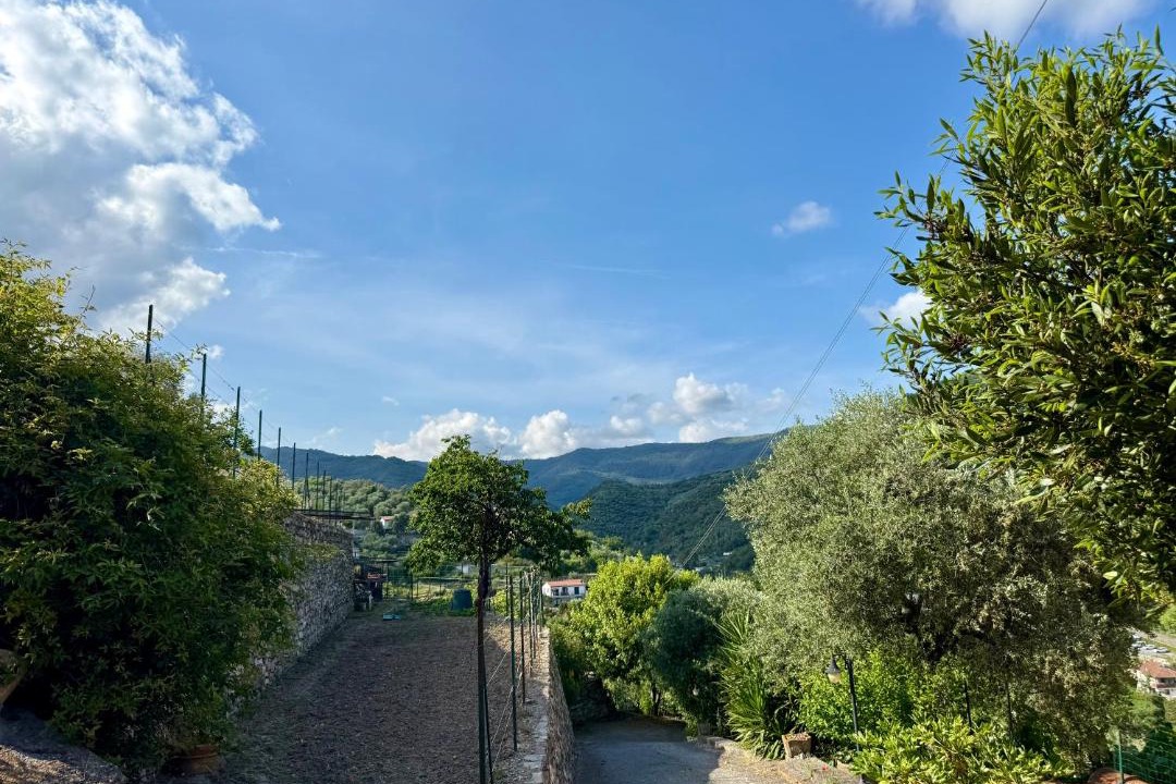Photo of Others in Dolcedo