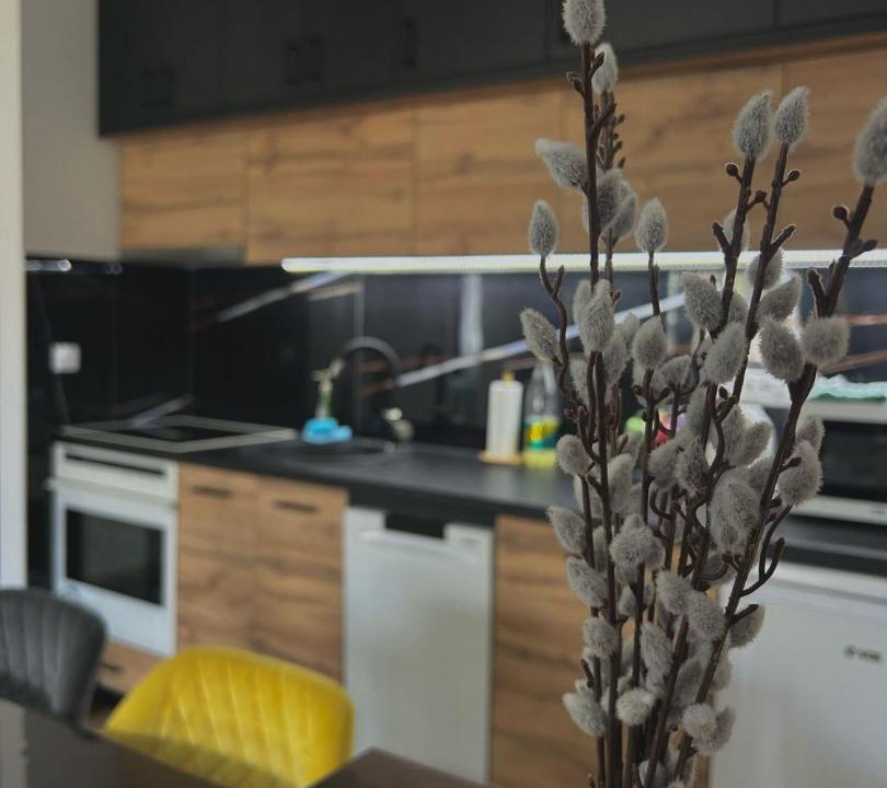 Photo of Kitchen in Sombor