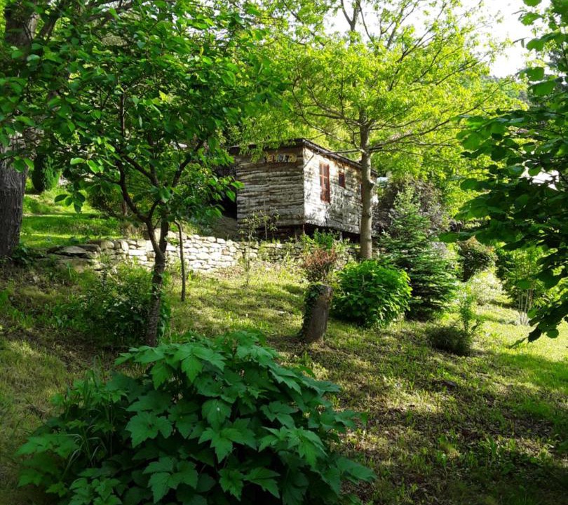 Photo of Others in Bossolasco