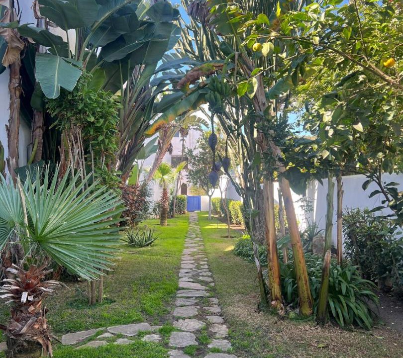 Photo of Others in Tetouan