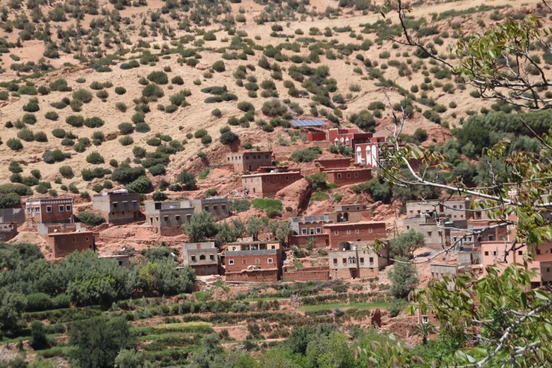 Photo of Buildings in Asni