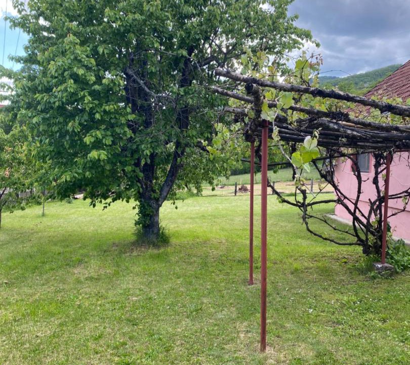 Photo of Others in Mokra Gora