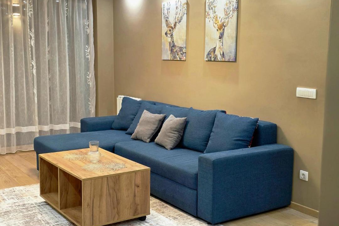 Photo of Livingroom in Vracar