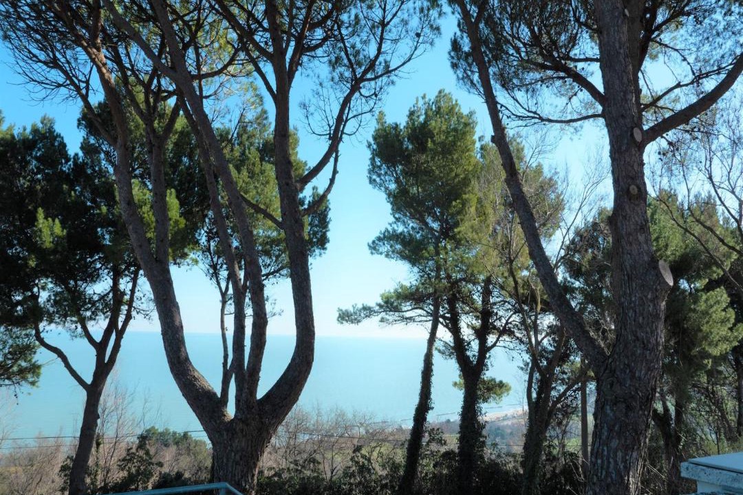 Photo of Others in Pesaro