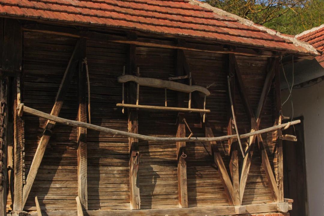 Photo of Others in Central Serbia