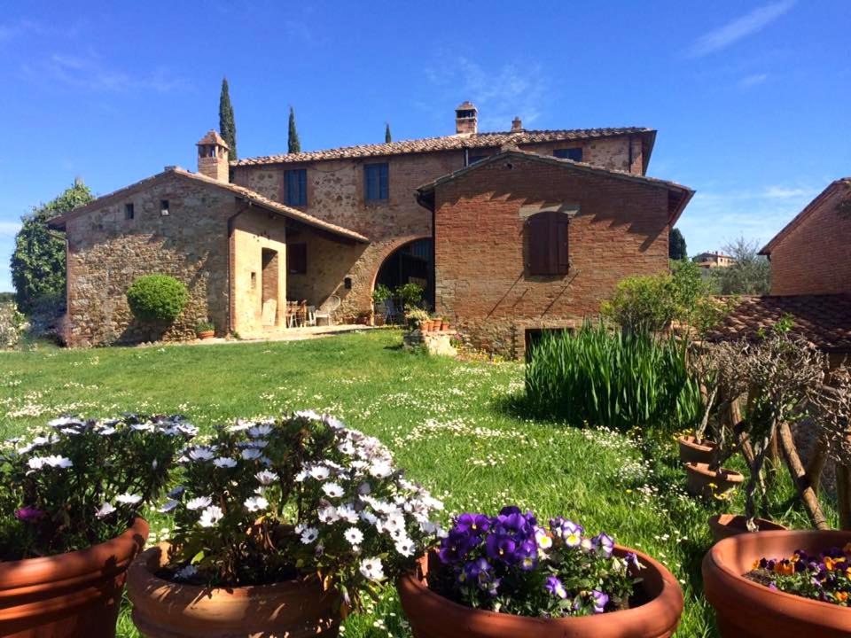 Photo of Others in Castelnuovo Berardenga