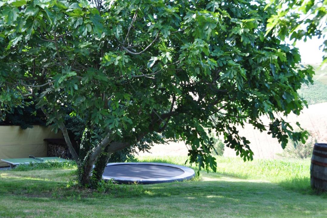Photo of Others in Belvedere Ostrense