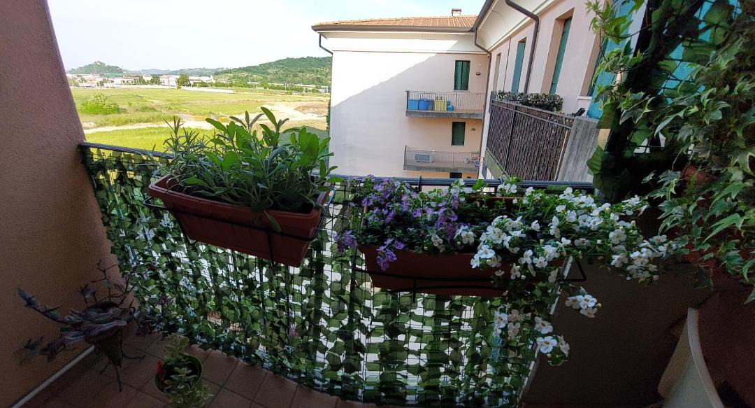 Photo of Patio Balcony in Alte Ceccato