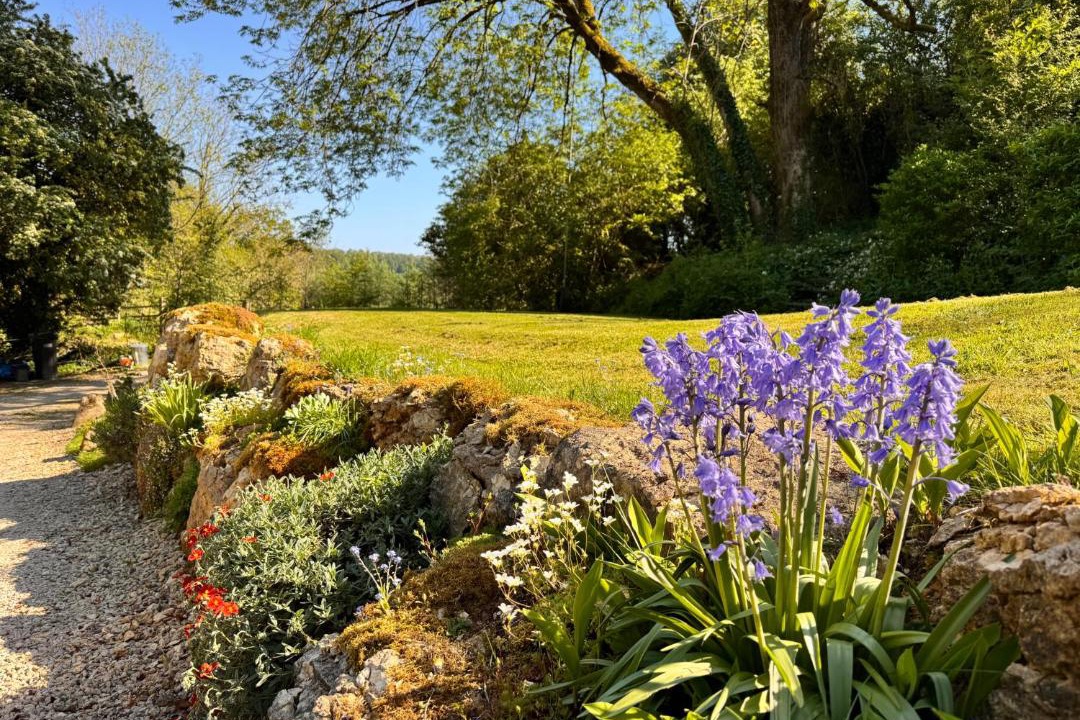 Photo of Others in Combe Hay