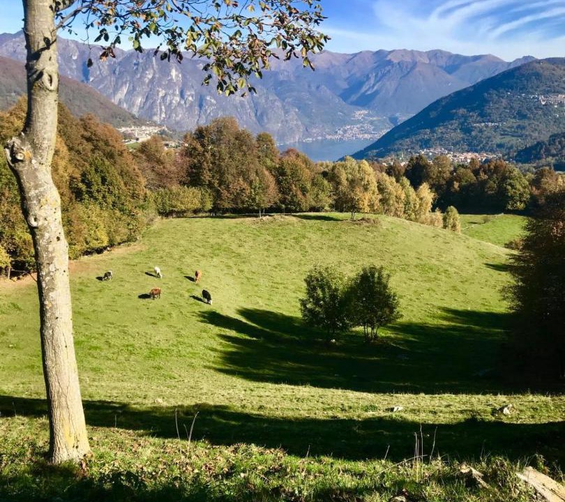 Photo of Others in Pellio Intelvi