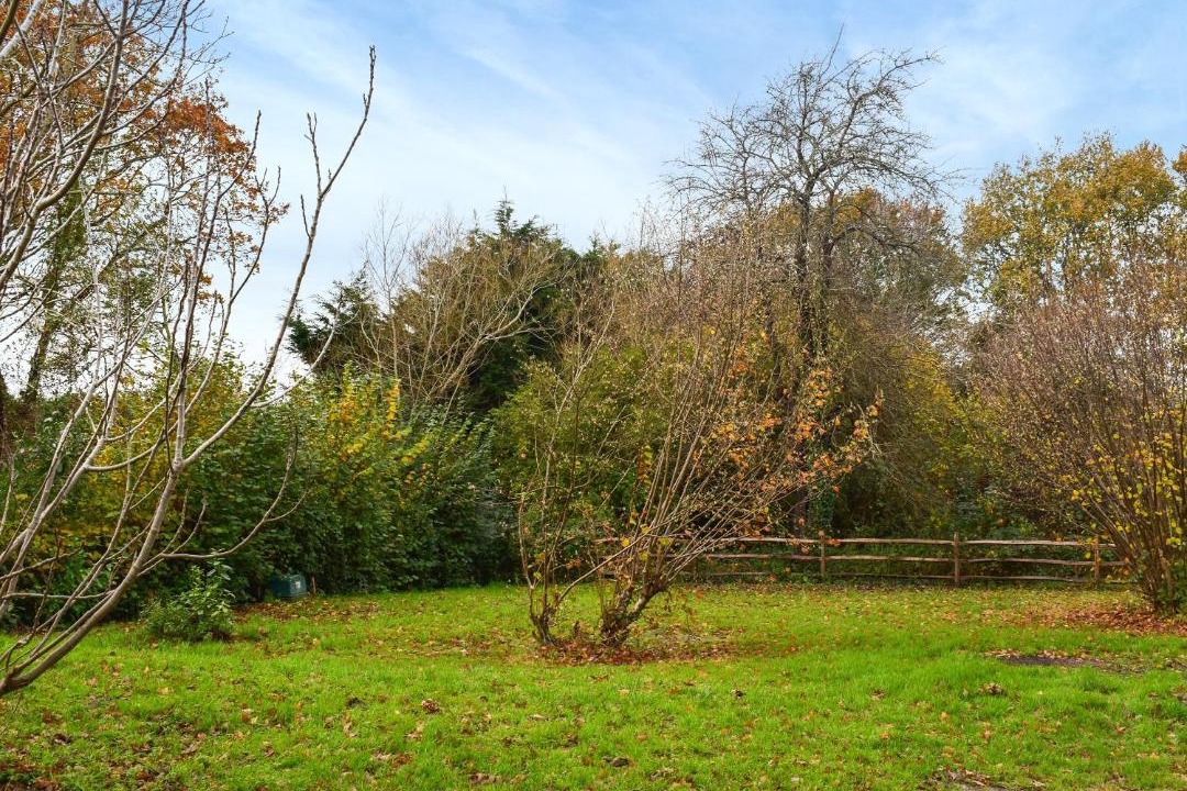 Photo of Others in Pevensey