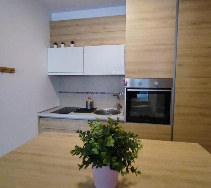 Photo of Kitchen in Zemun