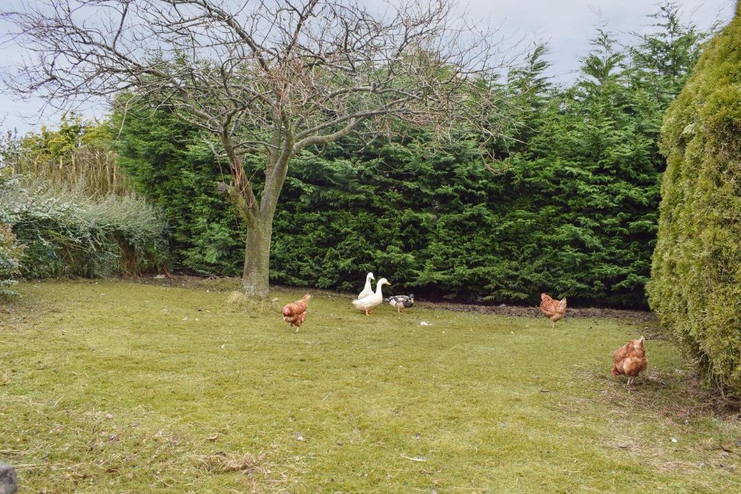 Photo of Others in Falkirk